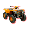 Quad